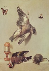 死んだ鳥とネズミの静物、1712